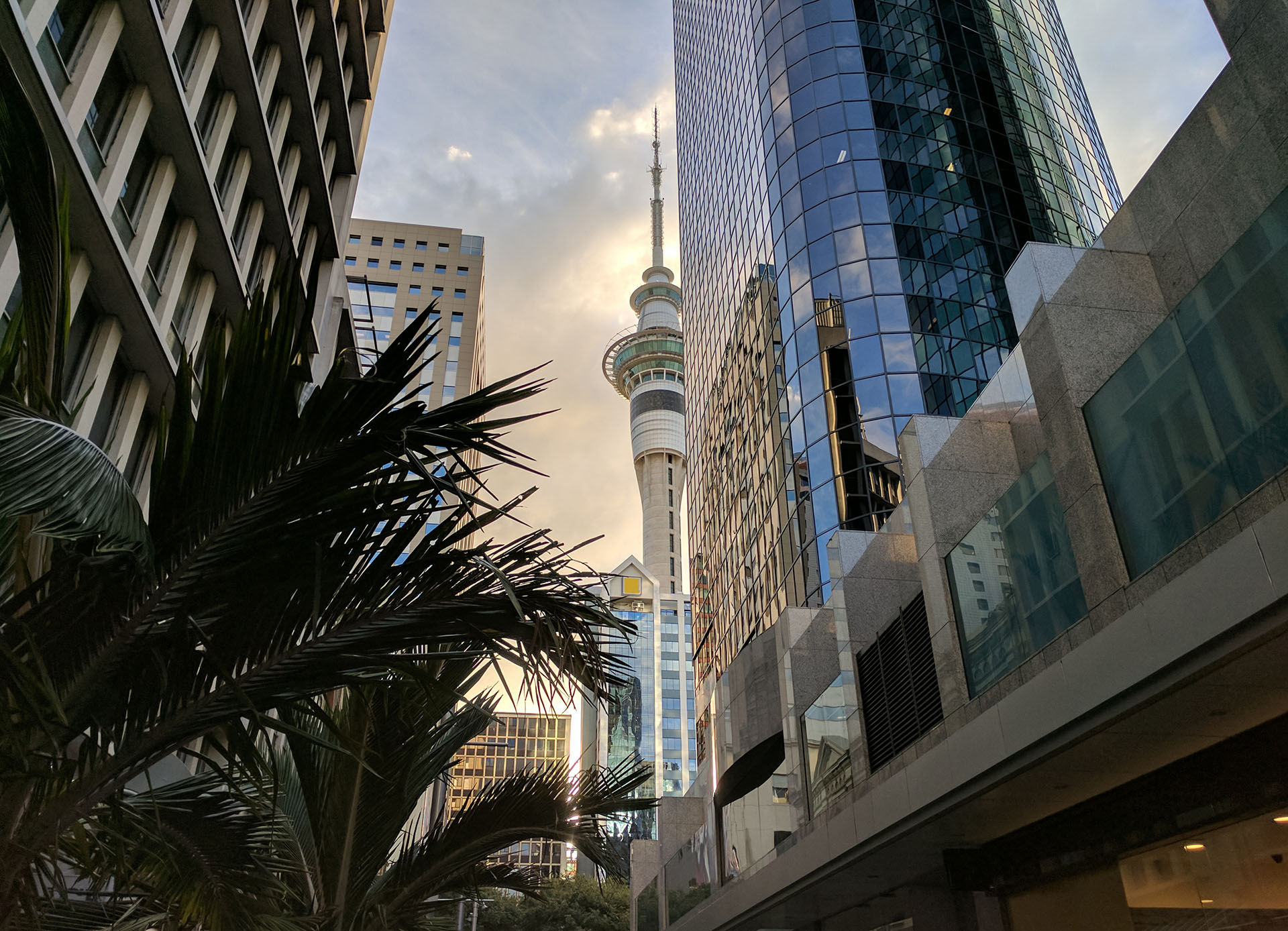 Sky Tower amongst other buildings, Auckland, New Zealand