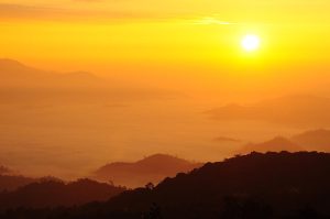 yellow-sunrise-over-black-forest-mist-preecha-sirima