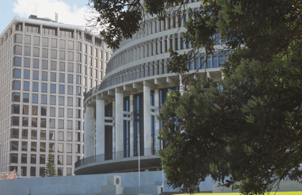 NZ 2025 Investment Boost: What It Means for Your Business Image