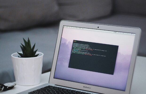 Can your website agency own your website? What every business should know. Image